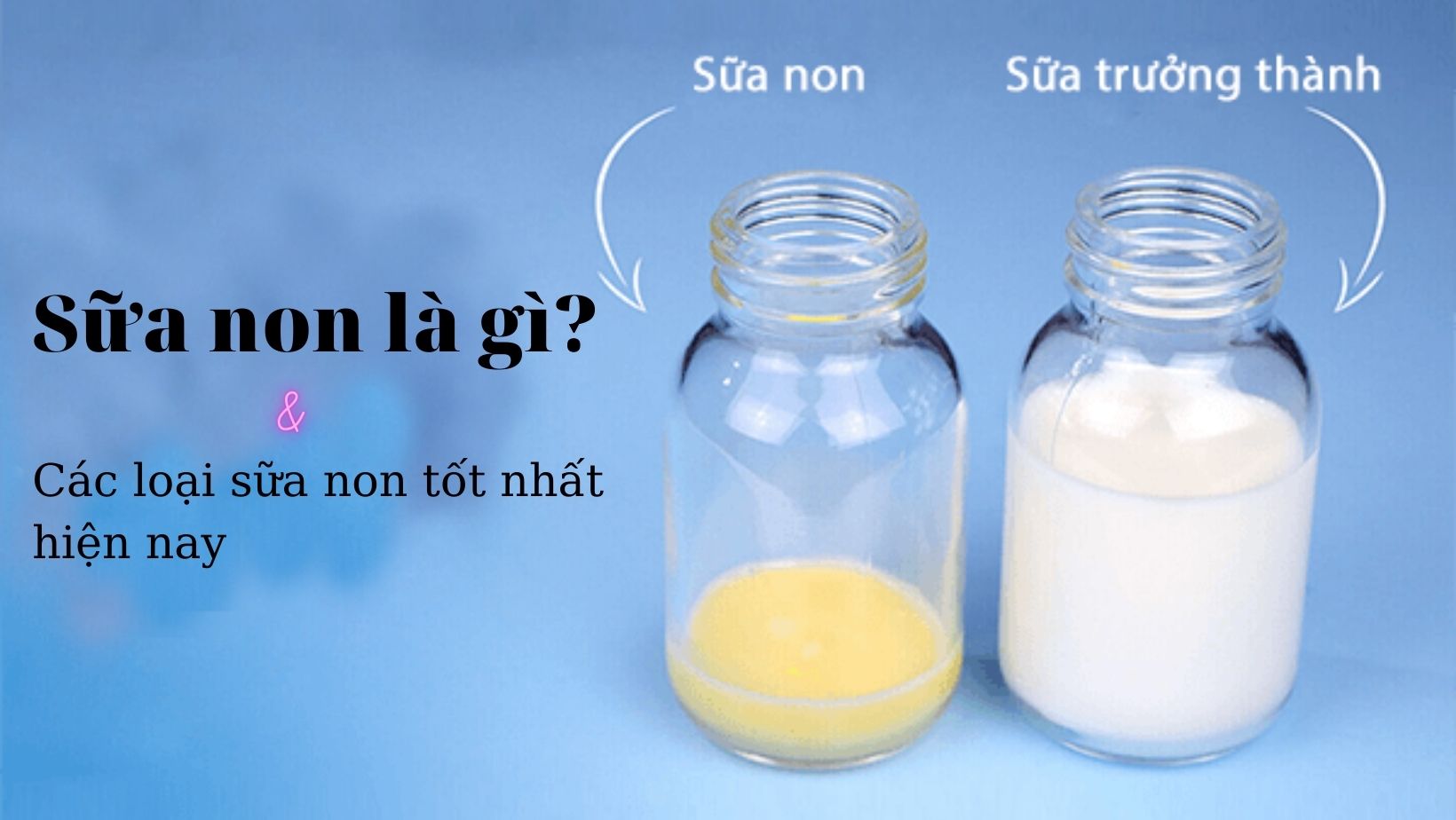 Sữa non là gì? Những điều cần biết - Phần 1 | Pacific Cross Việt Nam