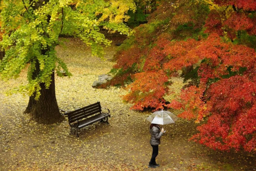 Nên mặc gì khi đi du lịch Hàn Quốc tự túc vào mùa thu?